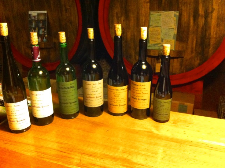 IMG_0891 - version 3