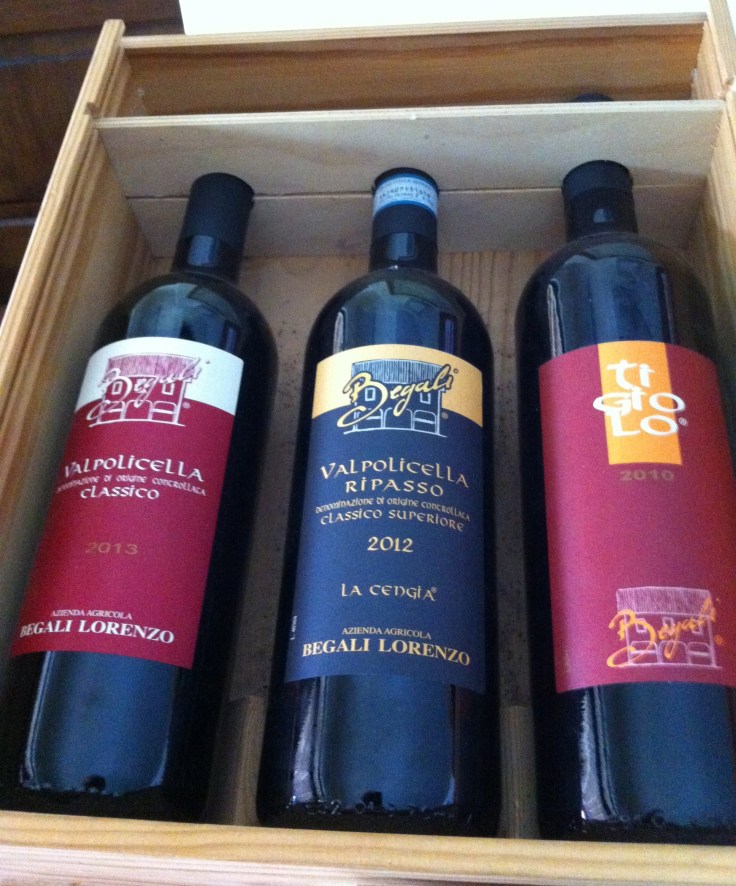 IMG_0913 - version 2