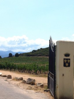 IMG_4883 - version 2