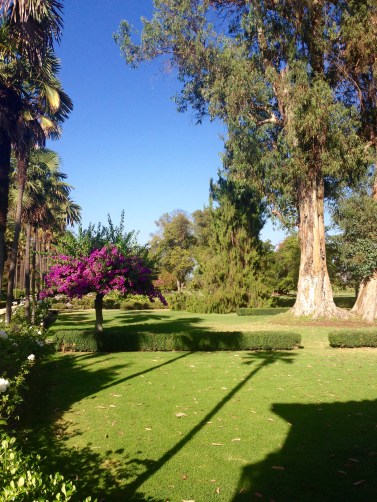 Undurraga Winery, Maipo Valley, Chile.