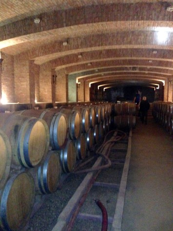 Undurraga Winery, Maipo Valley, Chile.
