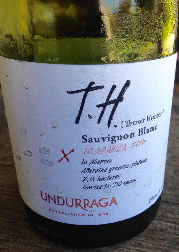 Undurraga Winery, Maipo Valley, Chile.