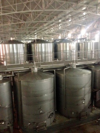 Vina Indomita Winery i Casablanca, Chile.