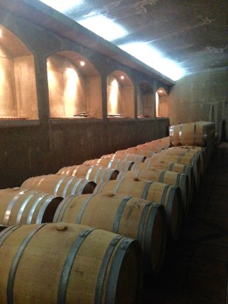 Vina Indomita Winery i Casablanca, Chile.