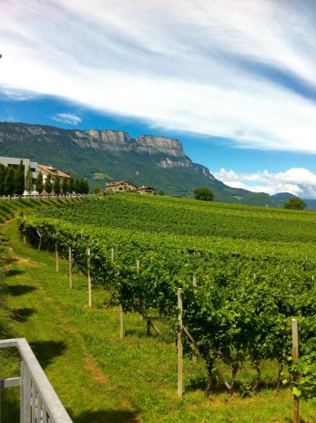 IMG_0807 - version 2